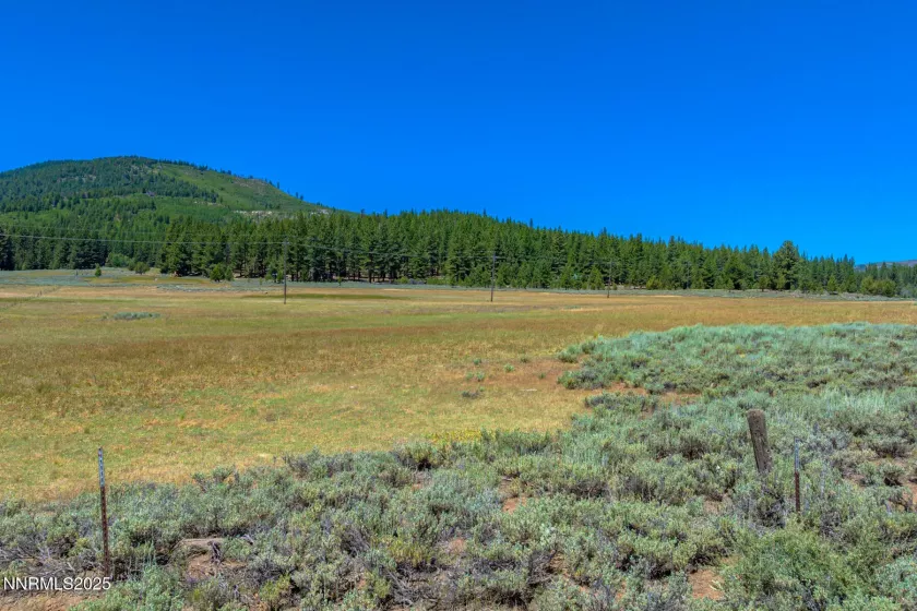 XXX Smithneck, Loyalton, California 96118, ,Land,Residential,Smithneck,250052976