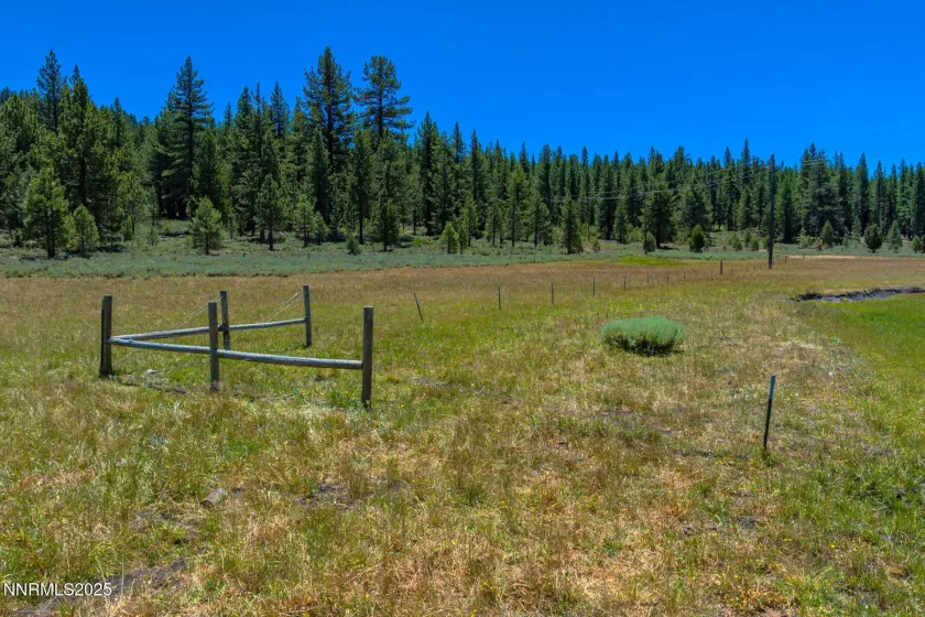 XXX Smithneck, Loyalton, California 96118, ,Land,Residential,Smithneck,250052976
