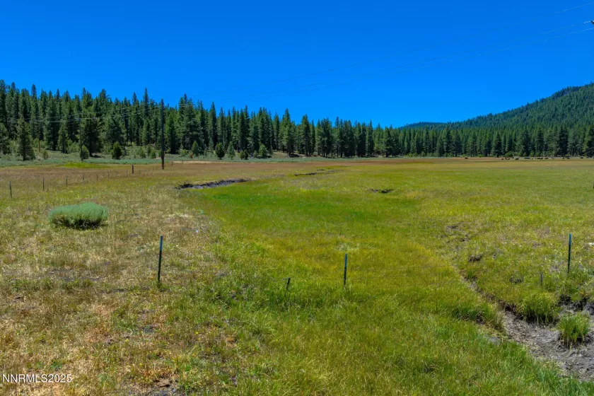 XXX Smithneck, Loyalton, California 96118, ,Land,Residential,Smithneck,250052976