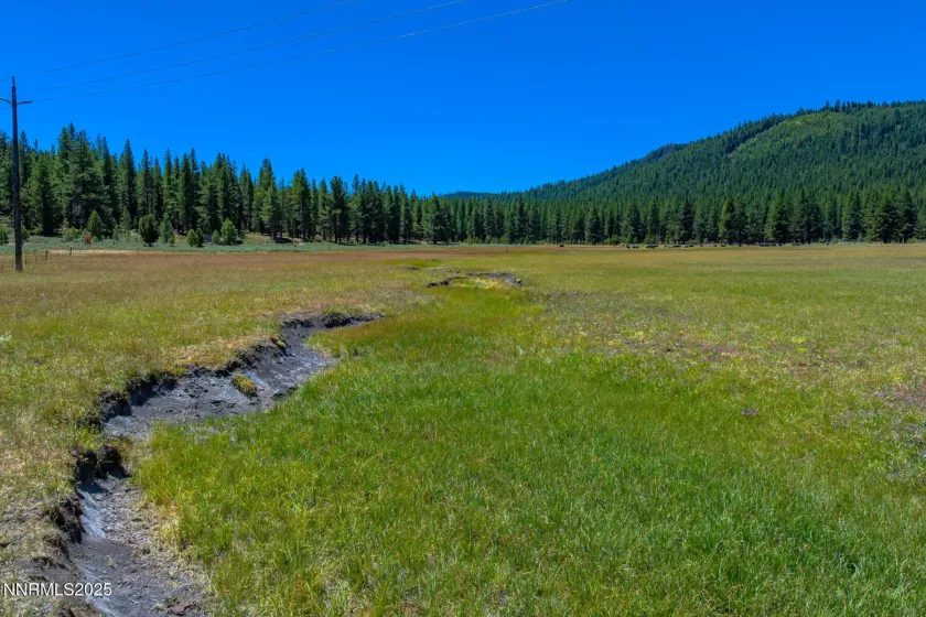 XXX Smithneck, Loyalton, California 96118, ,Land,Residential,Smithneck,250052976