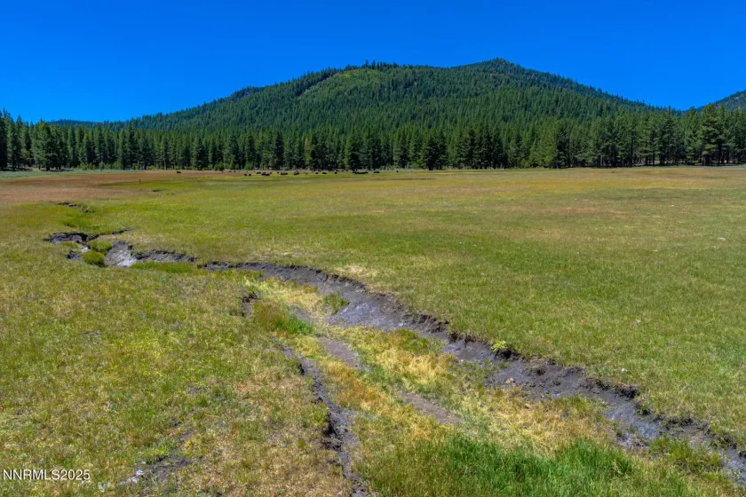 XXX Smithneck, Loyalton, California 96118, ,Land,Residential,Smithneck,250052976