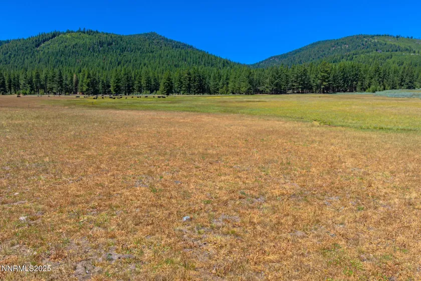 XXX Smithneck, Loyalton, California 96118, ,Land,Residential,Smithneck,250052976
