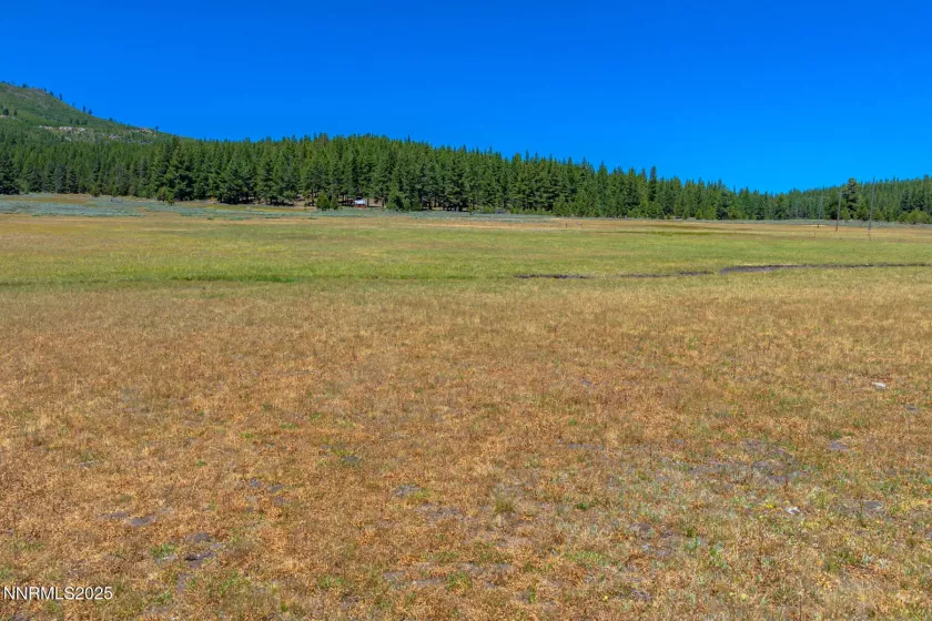 XXX Smithneck, Loyalton, California 96118, ,Land,Residential,Smithneck,250052976