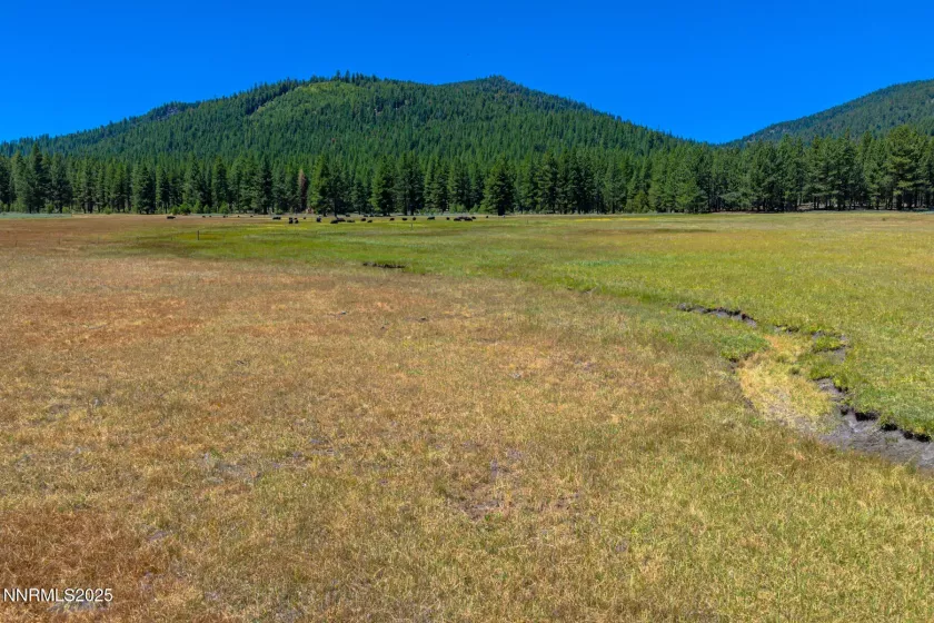XXX Smithneck, Loyalton, California 96118, ,Land,Residential,Smithneck,250052976