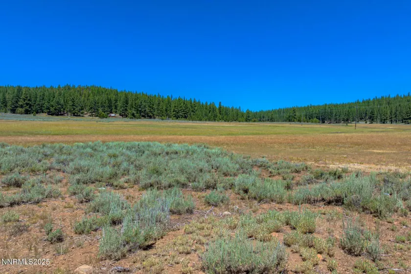 XXX Smithneck, Loyalton, California 96118, ,Land,Residential,Smithneck,250052976