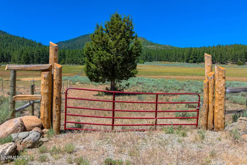 XXX Smithneck, Loyalton, California 96118, ,Land,Residential,Smithneck,250052976