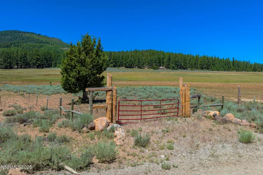 XXX Smithneck, Loyalton, California 96118, ,Land,Residential,Smithneck,250052976