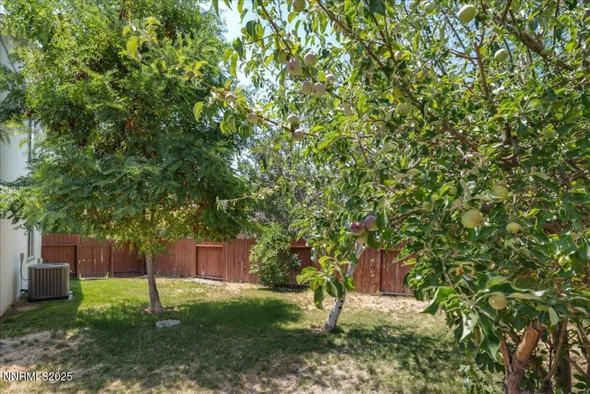 7339 Warhol, Sun Valley, Nevada 89433, 4 Bedrooms Bedrooms, ,3 BathroomsBathrooms,Residential,Residential,Warhol,250053000