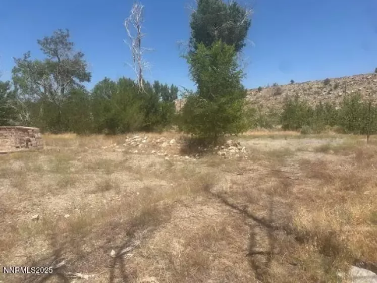 105 Side, Coleville, California 96107, ,Land,Residential,Side,250053008