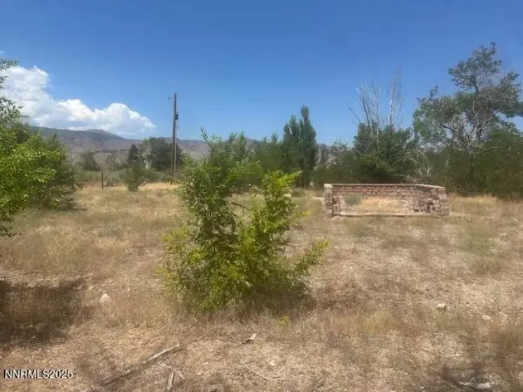 105 Side, Coleville, California 96107, ,Land,Residential,Side,250053008