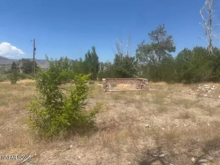105 Side, Coleville, California 96107, ,Land,Residential,Side,250053008