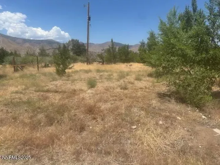 105 Side, Coleville, California 96107, ,Land,Residential,Side,250053008