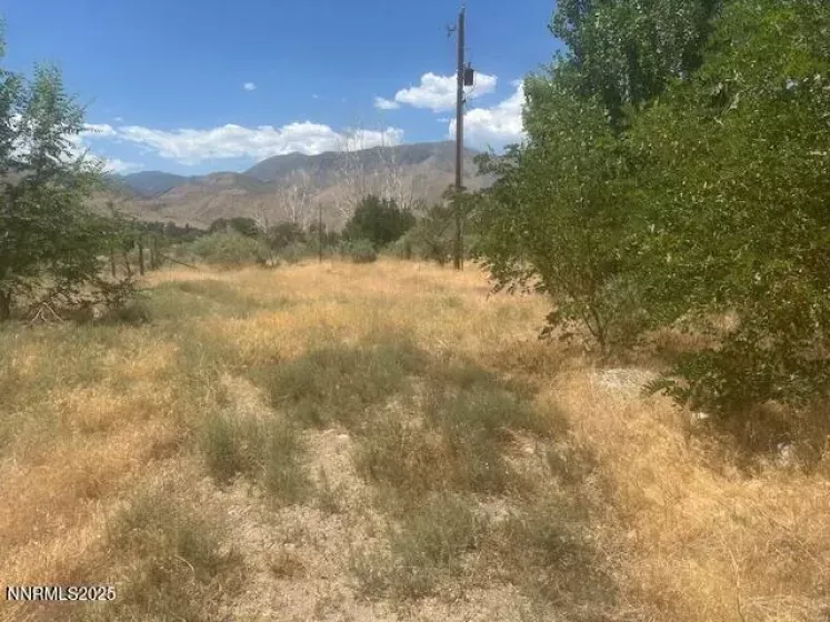 105 Side, Coleville, California 96107, ,Land,Residential,Side,250053008