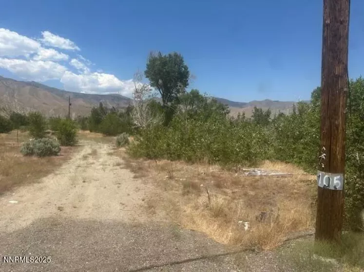 105 Side, Coleville, California 96107, ,Land,Residential,Side,250053008
