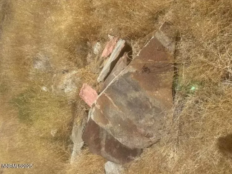 105 Side, Coleville, California 96107, ,Land,Residential,Side,250053008