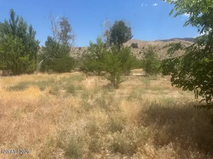 105 Side, Coleville, California 96107, ,Land,Residential,Side,250053008