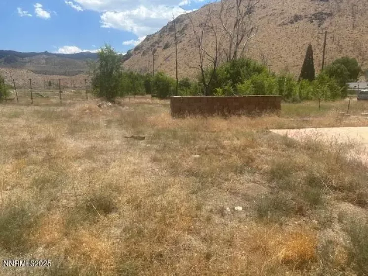 105 Side, Coleville, California 96107, ,Land,Residential,Side,250053008