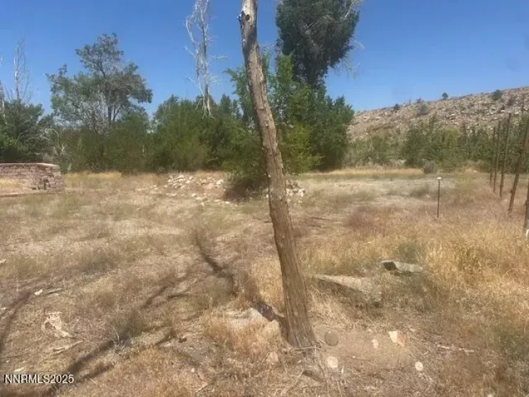 105 Side, Coleville, California 96107, ,Land,Residential,Side,250053008