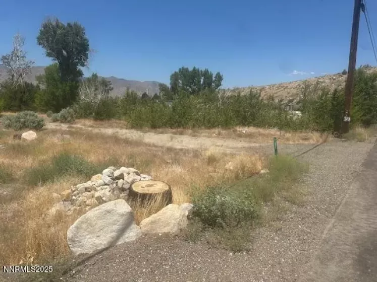 105 Side, Coleville, California 96107, ,Land,Residential,Side,250053008