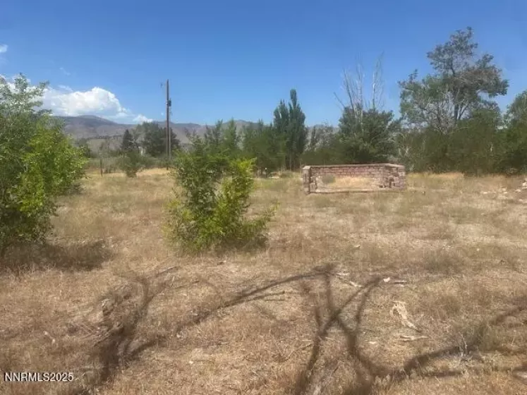 105 Side, Coleville, California 96107, ,Land,Residential,Side,250053008