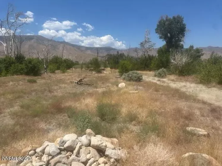 105 Side, Coleville, California 96107, ,Land,Residential,Side,250053008