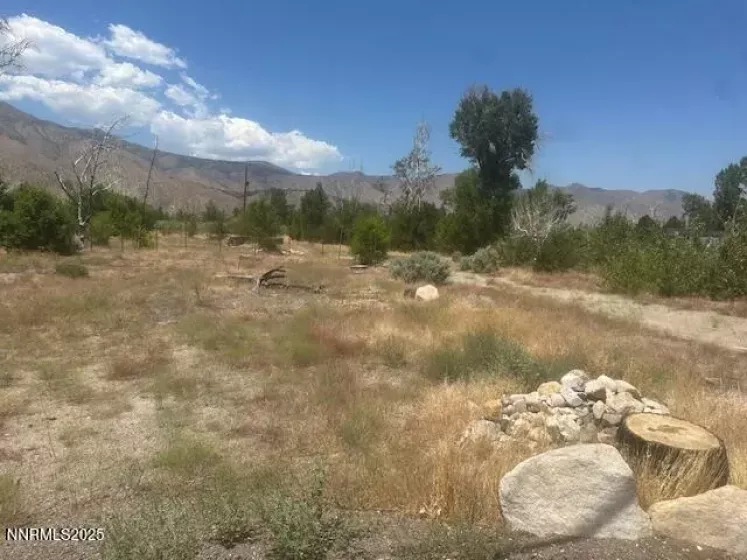 105 Side, Coleville, California 96107, ,Land,Residential,Side,250053008