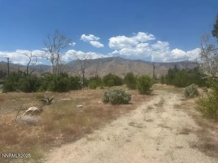 105 Side, Coleville, California 96107, ,Land,Residential,Side,250053008