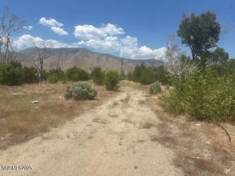 105 Side, Coleville, California 96107, ,Land,Residential,Side,250053008