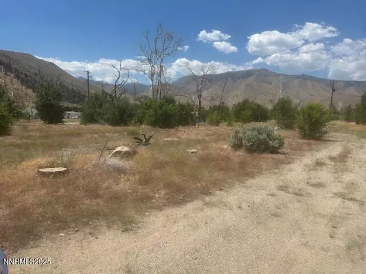 105 Side, Coleville, California 96107, ,Land,Residential,Side,250053008