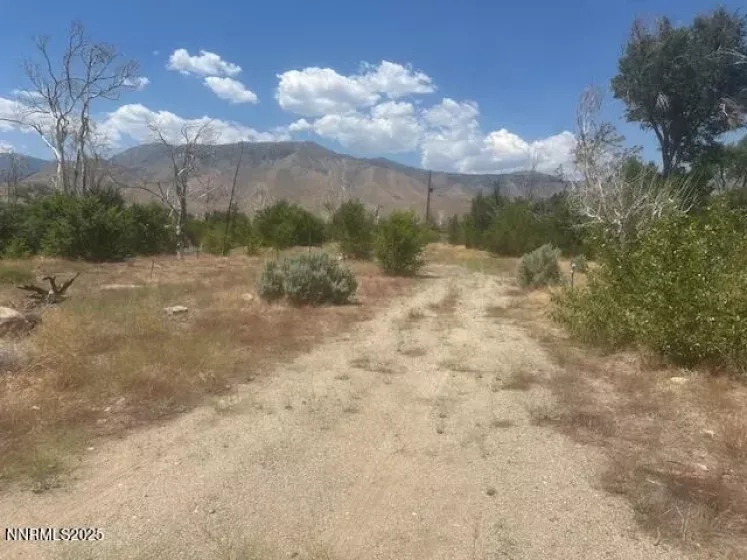 105 Side, Coleville, California 96107, ,Land,Residential,Side,250053008