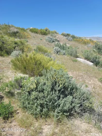 525 Prairie Dog, Reno, Nevada 89508, ,Land,Residential,Prairie Dog,250053011