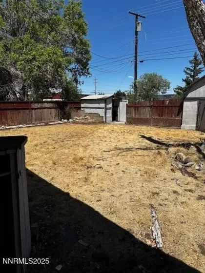 Back yard