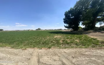 7.5 Acres off of Workman Road, Fallon, Nevada 89406, ,Land,Residential,of Workman Road,250053029