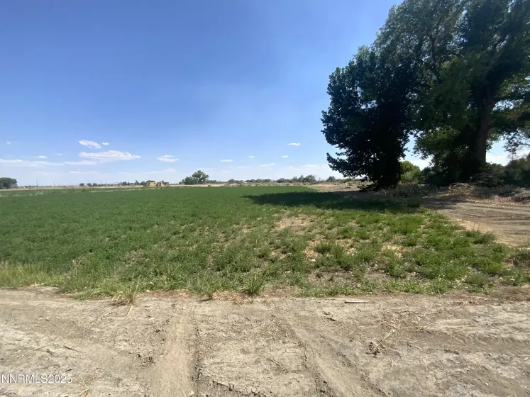 7.5 Acres off of Workman Road, Fallon, Nevada 89406, ,Land,Residential,of Workman Road,250053029