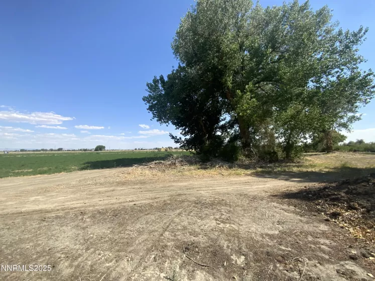 7.5 Acres off of Workman Road, Fallon, Nevada 89406, ,Land,Residential,of Workman Road,250053029