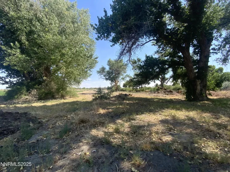 7.5 Acres off of Workman Road, Fallon, Nevada 89406, ,Land,Residential,of Workman Road,250053029