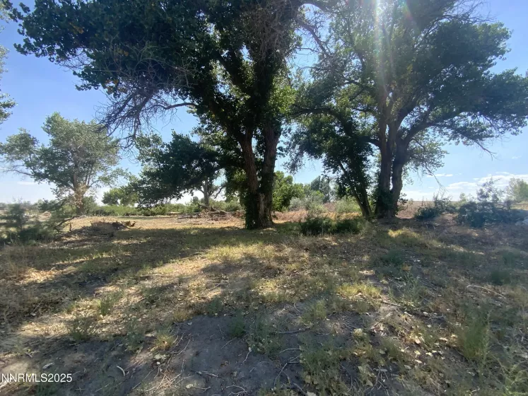 7.5 Acres off of Workman Road, Fallon, Nevada 89406, ,Land,Residential,of Workman Road,250053029