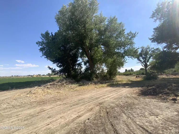 7.5 Acres off of Workman Road, Fallon, Nevada 89406, ,Land,Residential,of Workman Road,250053029