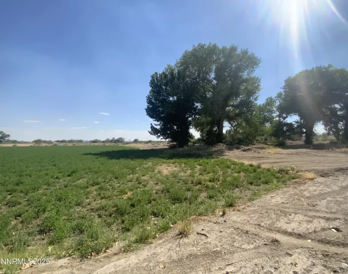 7.5 Acres off of Workman Road, Fallon, Nevada 89406, ,Land,Residential,of Workman Road,250053029