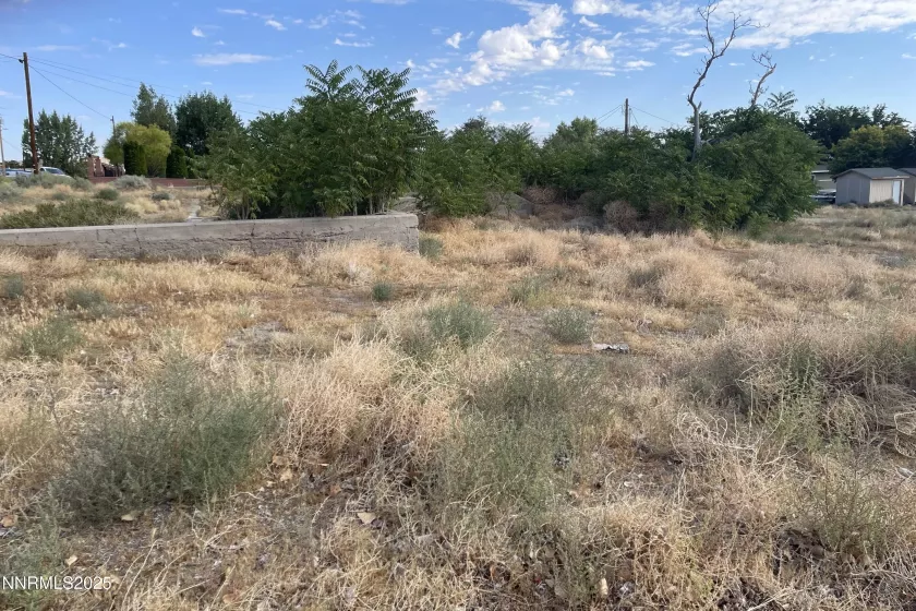 3 & 7 Bridge, Yerington, Nevada 89447, ,Land,Residential,Bridge,250053039