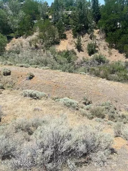 2693 Rodney, Reno, Nevada 89509, ,Land,Residential,Rodney,250053055