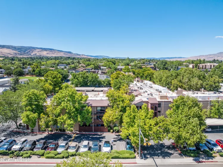 2955 Lakeside, Reno, Nevada 89509, 2 Bedrooms Bedrooms, ,2 BathroomsBathrooms,Residential,Residential,Lakeside,250053084