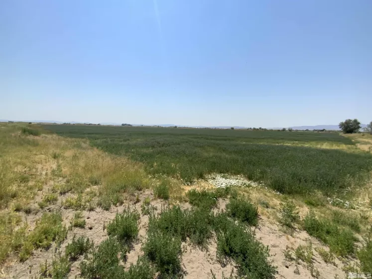 7235 Curry, Fallon, Nevada 89406, ,Land,Residential,Curry,240008803