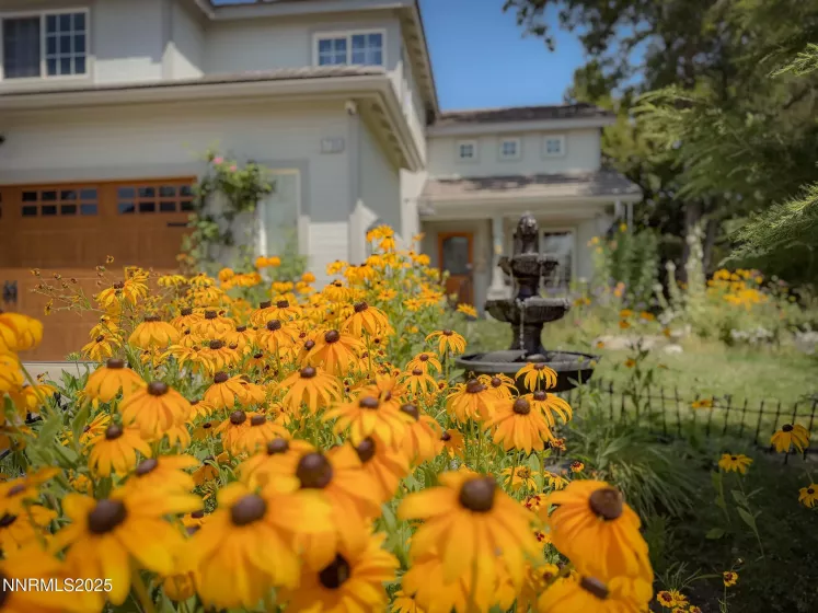Amazing Gardens
