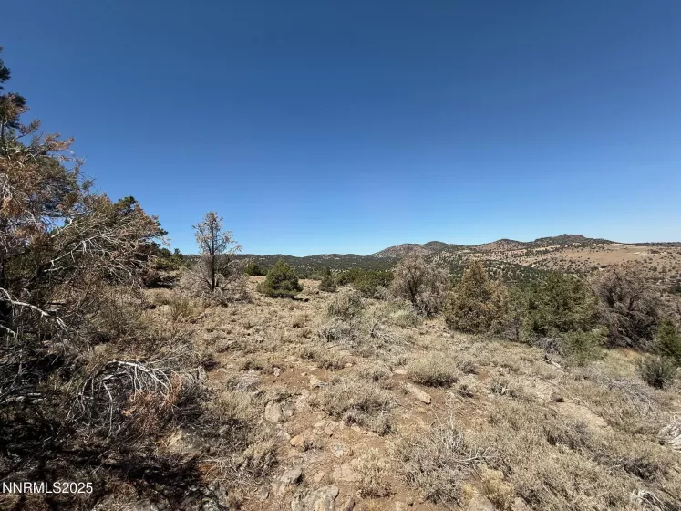 3960 Stovepipe, Reno, Nevada 89521, ,Land,Residential,Stovepipe,250053143