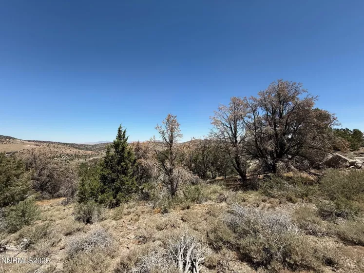 3960 Stovepipe, Reno, Nevada 89521, ,Land,Residential,Stovepipe,250053143