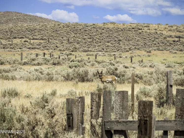 10-0149-02 Kluncy Canyon, Winnemucca, Nevada 89445, ,Land,Residential,Kluncy Canyon,250053157