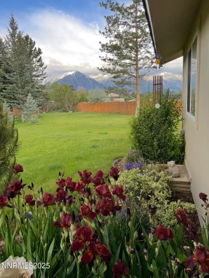 950 Morning Star, Gardnerville, Nevada 89460, 3 Bedrooms Bedrooms, ,2 BathroomsBathrooms,Residential,Residential,Morning Star,250053167