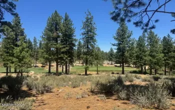 Golf Course Views