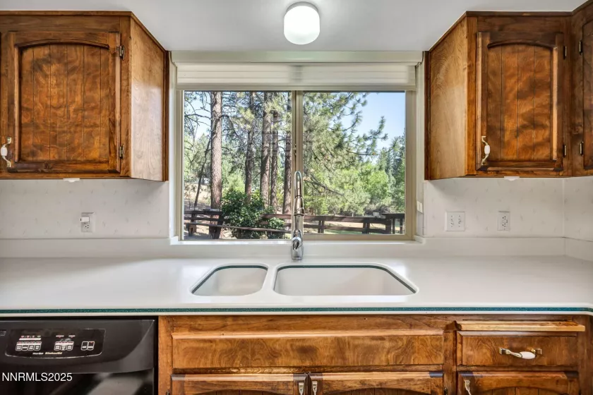 4300 Levi Gulch, Carson City, Nevada 89703, 4 Bedrooms Bedrooms, ,3 BathroomsBathrooms,Residential,Residential,Levi Gulch,250053181
